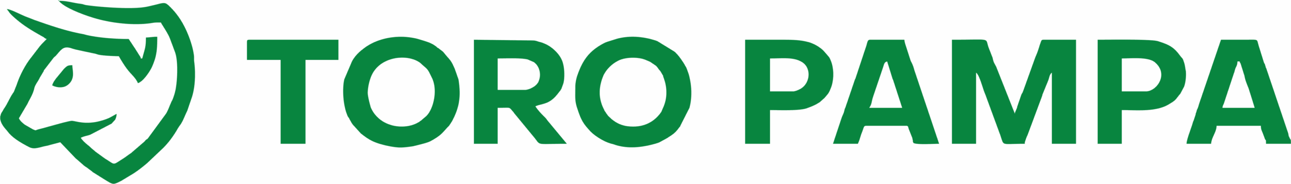 Toro Pampa